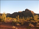 Campsite at Organ Pipe National Monument